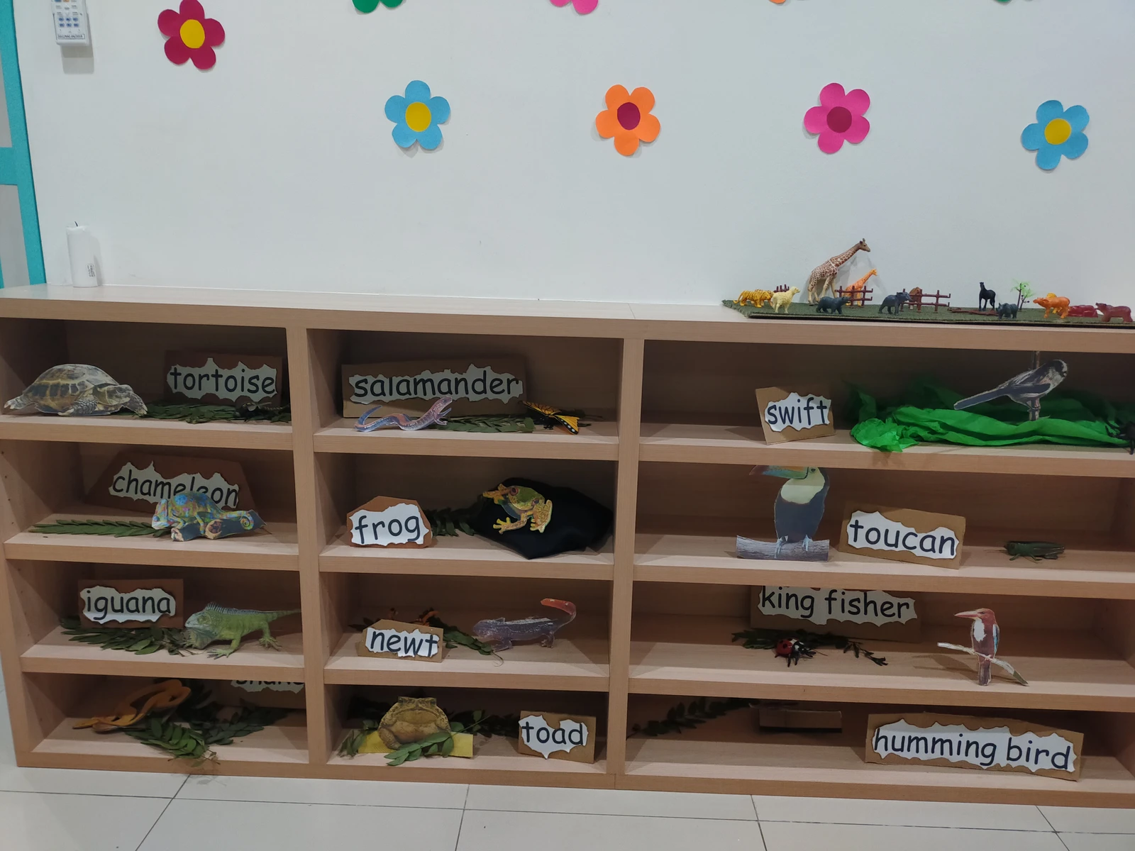 Foto 5