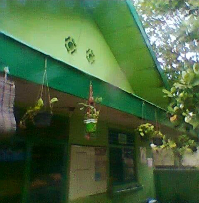 Foto 2