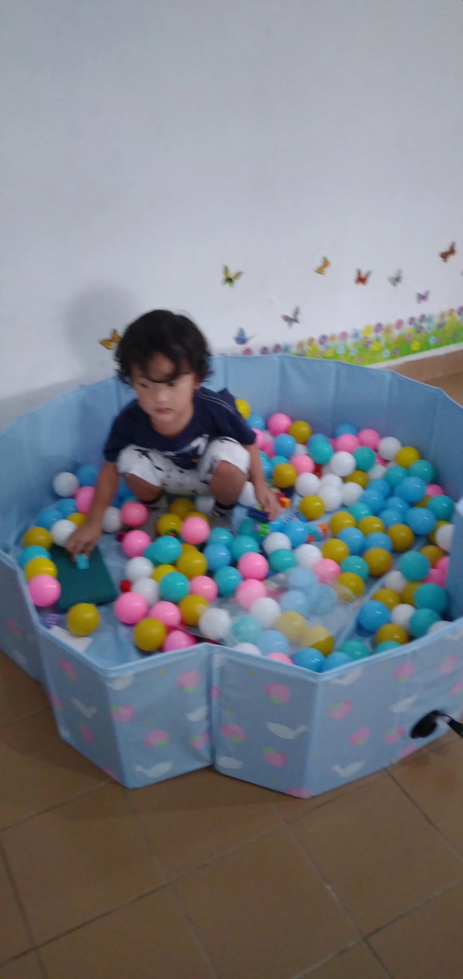 Foto 5