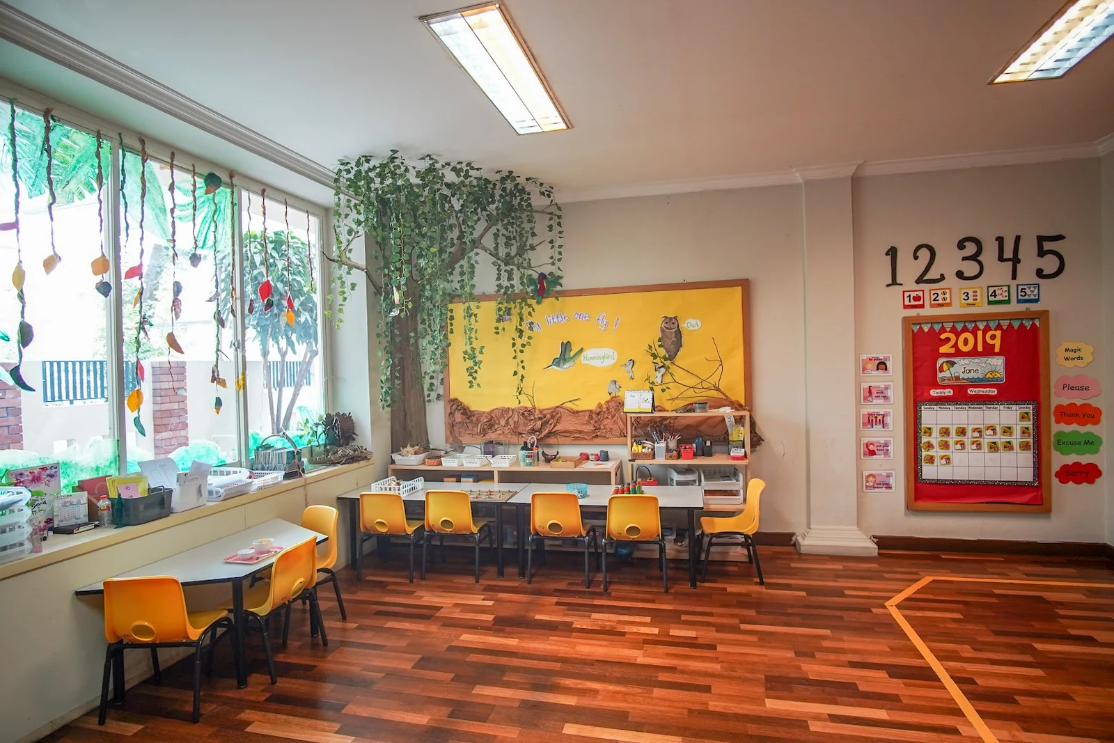 Foto 5