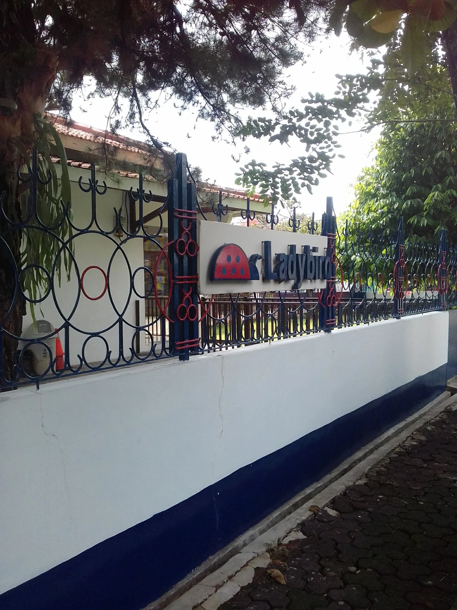 Foto 5