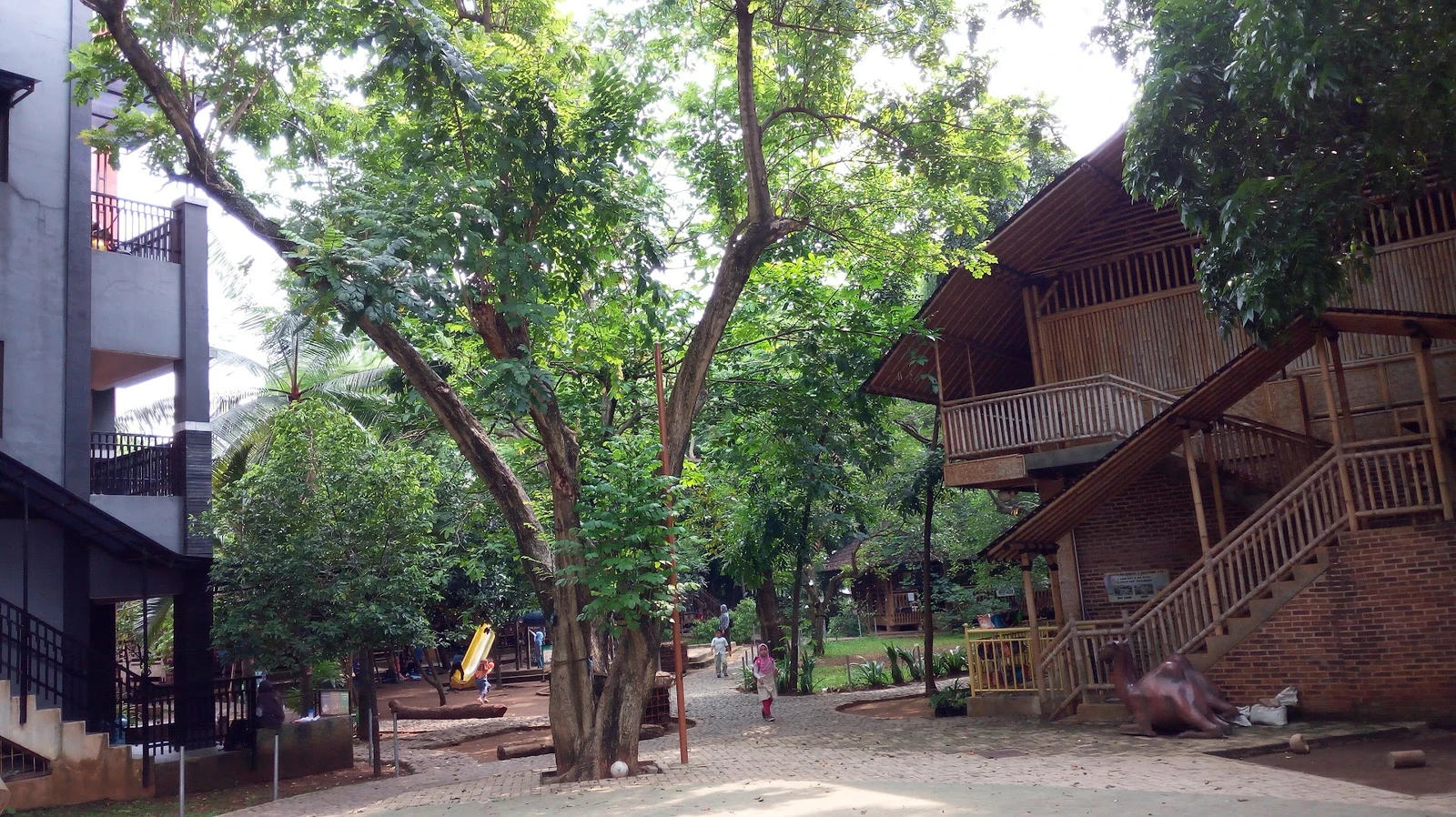 Foto 1