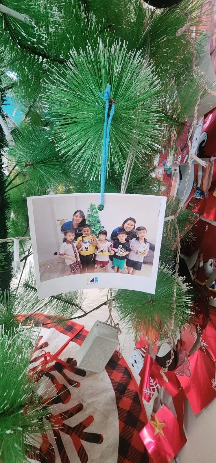 Foto 5